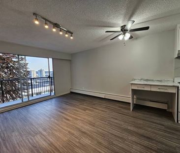 STUDIO in New West - RENOVATED, TOP floor, from March 1st - Photo 1