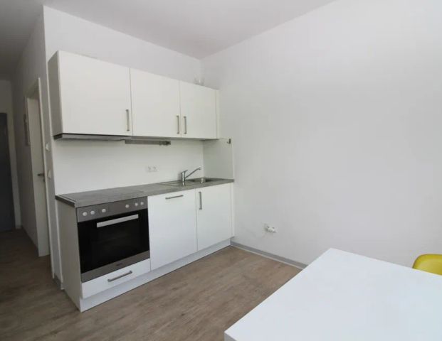 Wohnung zur Miete in Ludwigshafen am Rhein / Friesenheim - Photo 1