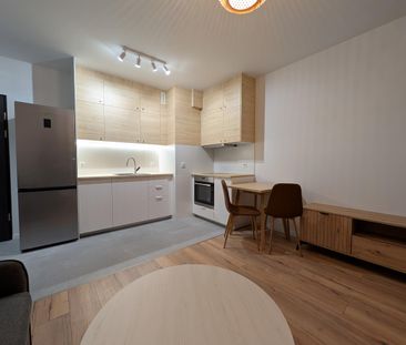 Łódź - Mieszkanie na wynajem - Photo 2