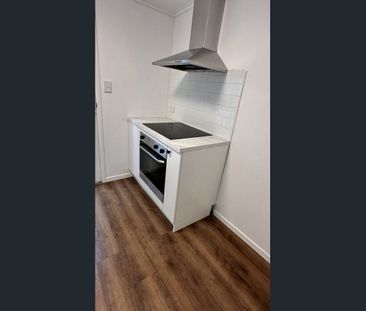 Semi Attached Granny Flat - Photo 2