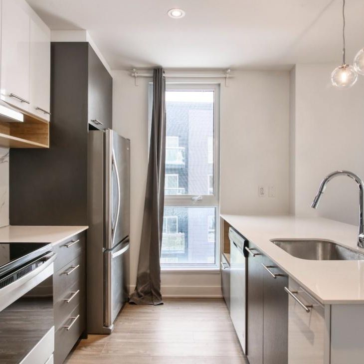 9675 Av. Papineau, app.203, H2B 3C8, H2B 3C8, Montréal - Photo 1