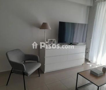 Piso en alquiler en Avinguda Mare Nostrum - Photo 1