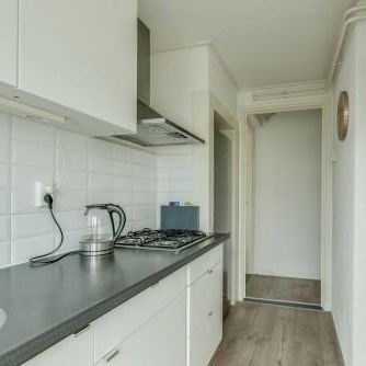 Victor Hugoplantsoen, 3533 CG Utrecht, Nederland - Foto 1