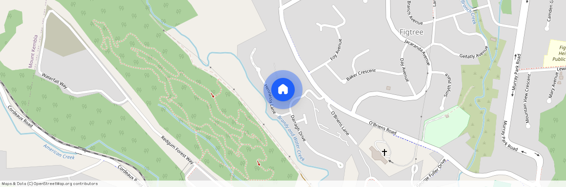 17 Darragh Drive, Figtree