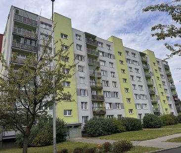 Pronájem bytu 1+1 40 m² - Photo 3