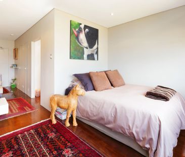 Renovated, Top Floor Studio Apartment with Light & Bright Park Outlook - Photo 2