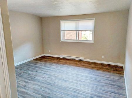 Elmira Apartments - ALL INCLUSIVE - Photo 5