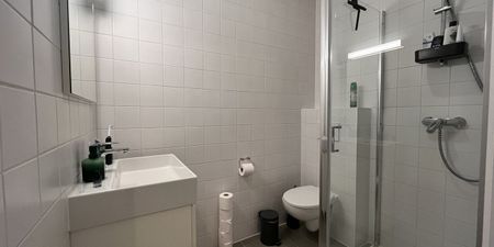 Studio met slaaphoek te huur in Leuven voor € 975 met 1 slaapkamer - Foto 5