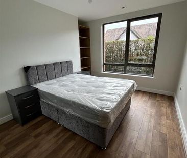 52 Stranmillis Road, Belfast, BT9 5AD - Photo 4