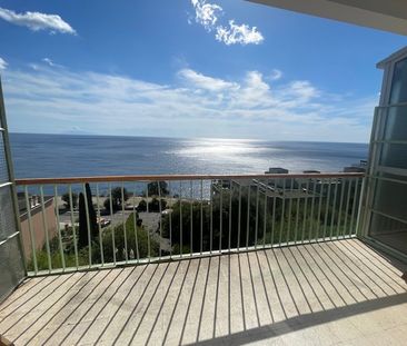 Location Appartement 2 pièces 47m² SAN MARTINO DI LOTA 20200 - Photo 6