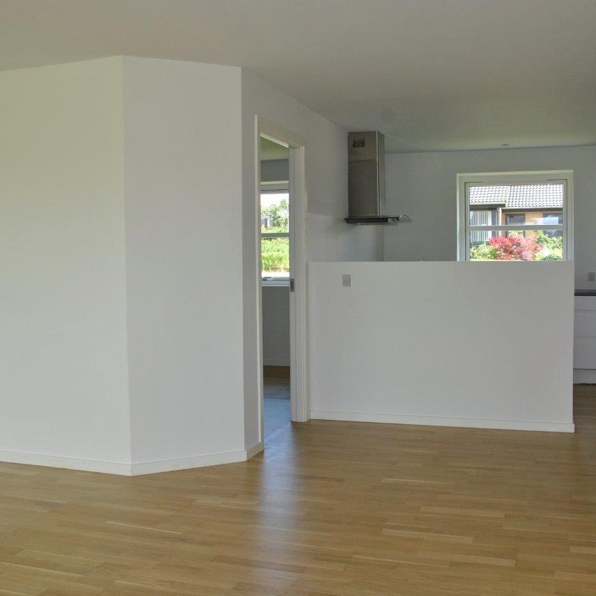 Skovlunden - Photo 1