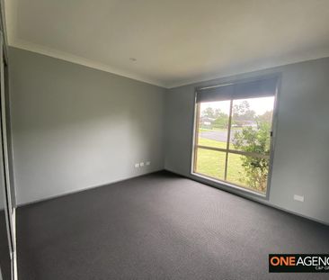 Freshly Updated Home on a Spacious Corner Block! - Photo 2