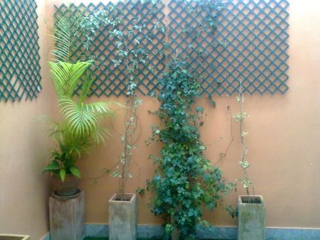 Sevilla - Foto 3
