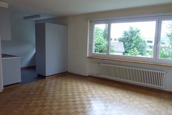 Herzige Singlewohnung in Zürich-Höngg - Foto 1