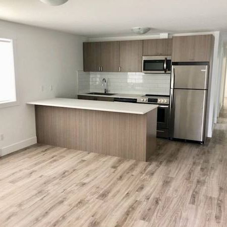 Brand New 2 Bedroom apartment close to Nanaimo Hospital & VIU - Photo 1