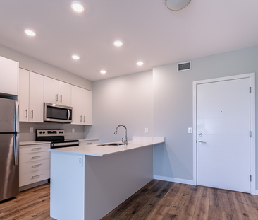 The Heartwood - Photo 6