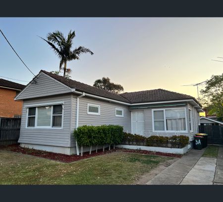3A Mona Road, Riverwood, NSW 2210 - Photo 3