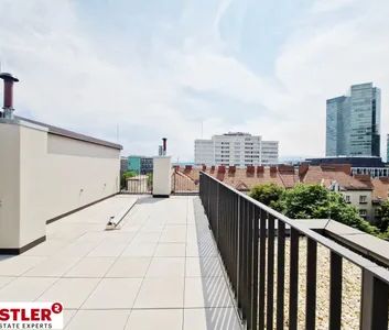 Extravagant - Dachterrasse - Wienblick - Foto 3