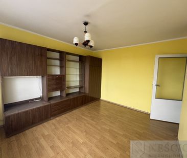 Siedlce - Zdjęcie 2