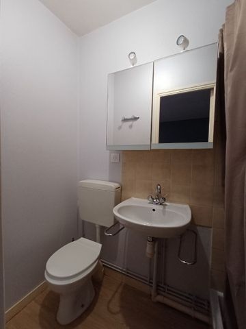 Location Appartement 1 pièce 16m² TOURS 37000 - Photo 4