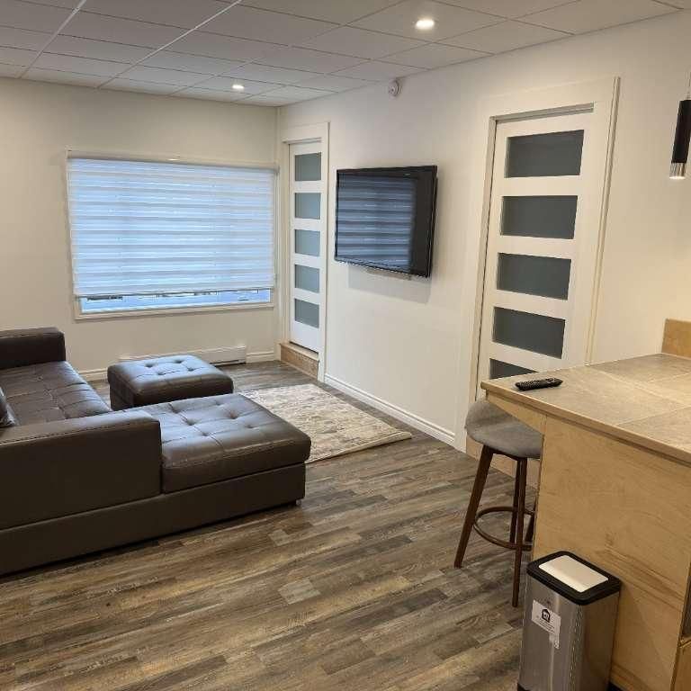 Loft meublé haut de gamme à louer – secteur recherché de Sherbrooke - Photo 1