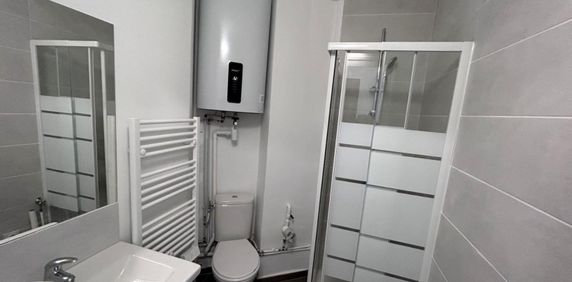 Location Appartement 1 pièce 19m² GRENOBLE 38100 - Photo 2