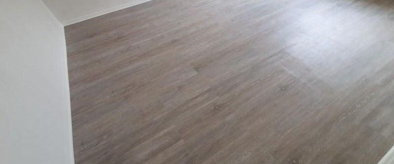 Single-Wohnung mit Dachterrasse - neu saniert, mit Aufzug - Photo 1