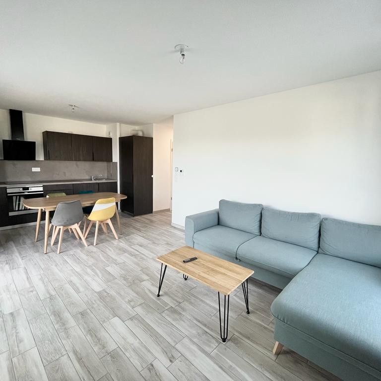 Location Appartement SCHLIERBACH 950 € CC - Photo 1
