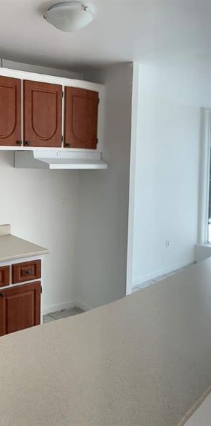 1 CH - 1 SDB - Montréal - $1,125 /mo - Photo 1