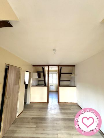 Location Appartement 1 pièce 25m² SULLY SUR LOIRE 45600 - Photo 3