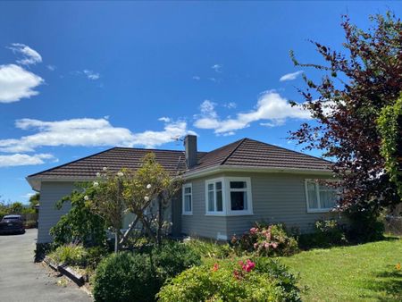 Family Home Close to Richmond Schools - Photo 4