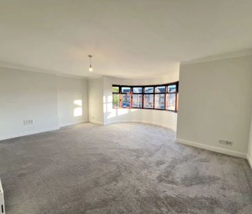 Chestnut Court - Photo 3