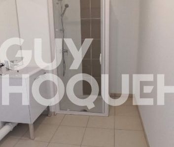 Location Appartement 1 pièce 37m² - Photo 5