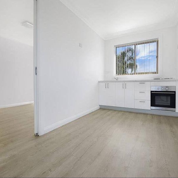 STUNNING 1 BEDROOM MODERN RENOVATED APARTMENT - Photo 1