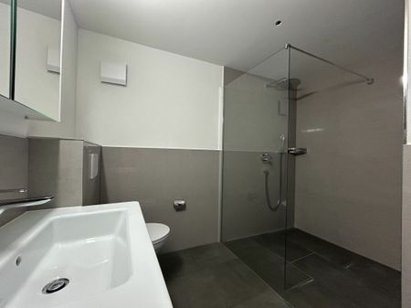 Hornussen / Appartement de 4.5 pièces - Photo 3