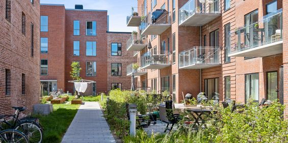 2 vær med terrasse - Photo 3