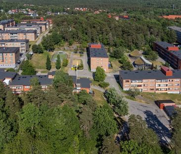 Svedjestråket 17 - Photo 4