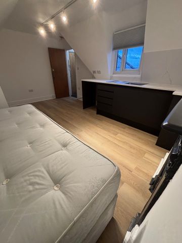 Bedsit, Sumatra Road, NW6 - Photo 3