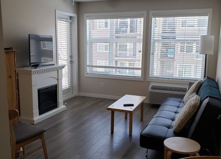 1 Bedroom Plus Den Condo at the Verve - Photo 4