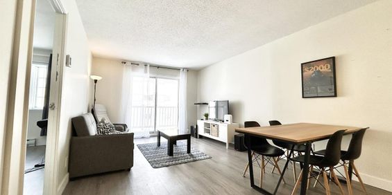 Antoine-du Verdier Appartement 3 ½ à Louer Sainte-Foy / Sillery Septembre 2026 - Photo 3