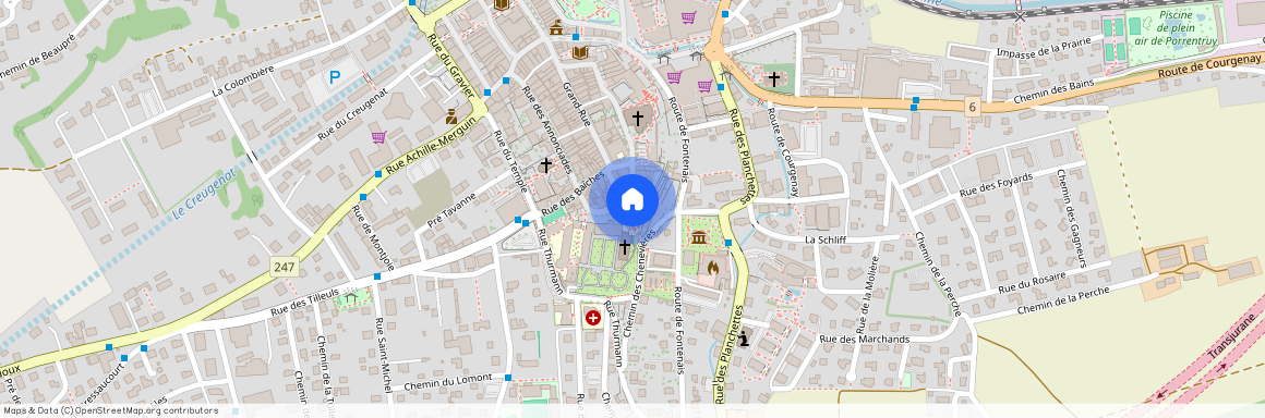25, Rue du Collège, 2900 Porrentruy
