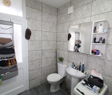Springvale Road, Sheffield, S6 - Photo 4