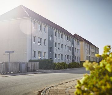 Bredgade, 23. 1. th., Ejby, 5592 - Foto 3