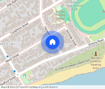 122 Hargest Crescent, Saint Clair - Photo 1