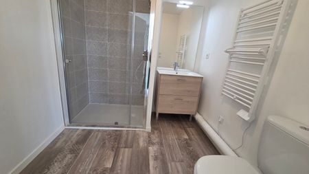 Location Appartement 1 pièce 24m² LA CHAPELLE ST MESMIN 45380 - Photo 4