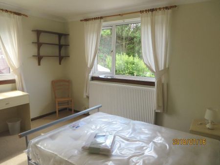 1 bedroom mews to rent - Photo 4