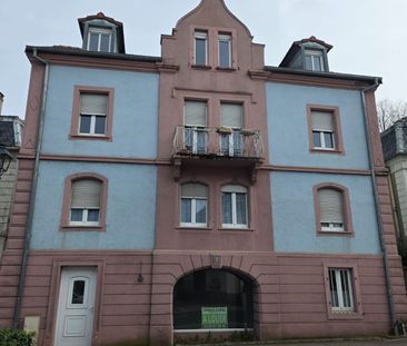 Location Appartement 3 pièces 53m² ALTKIRCH 68130 - Photo 4