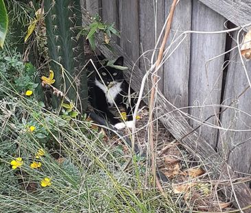 Sunshine West - Photo 6