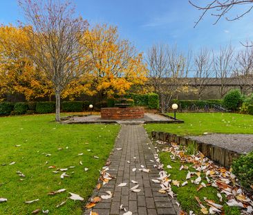 Dexter Terrace, Northbrook Road, Ranelagh, D6, D06 VN56 - Photo 3