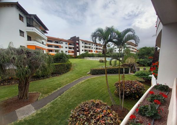 Piso En alquiler Calle Luis Rodríguez Figueroa, Distrito Botánico, Puerto de la Cruz